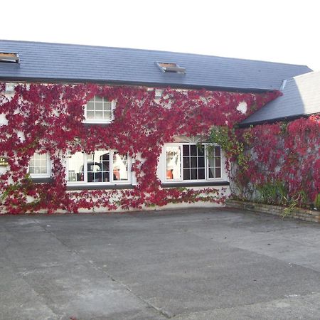Townsend House Guest House Birr Zewnętrze zdjęcie