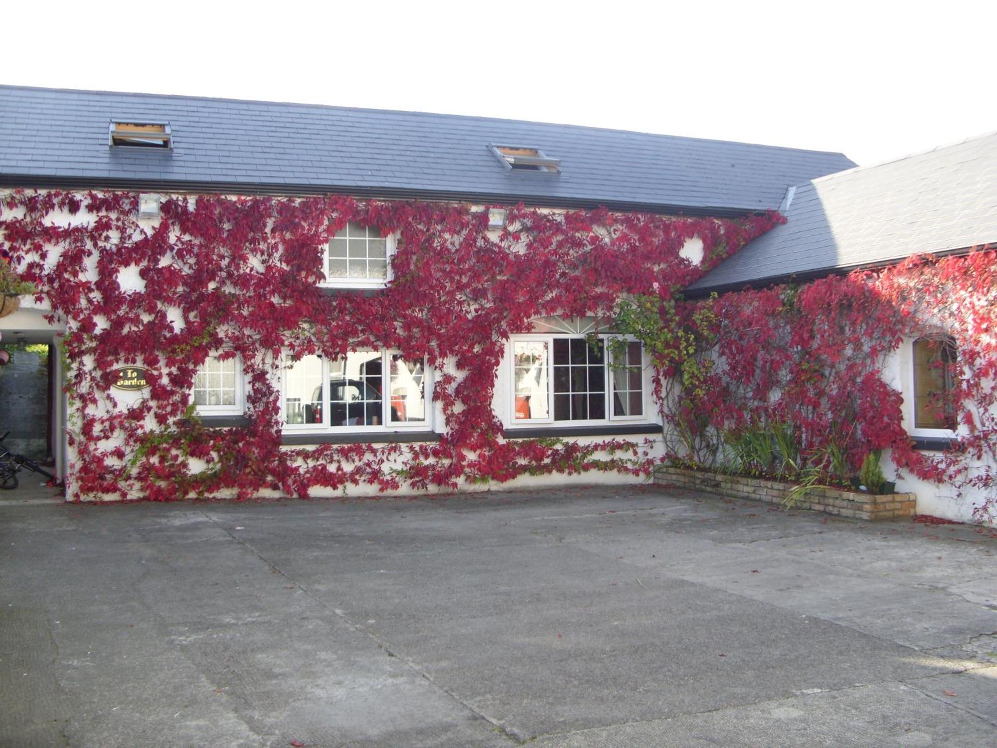 Townsend House Guest House Birr Zewnętrze zdjęcie